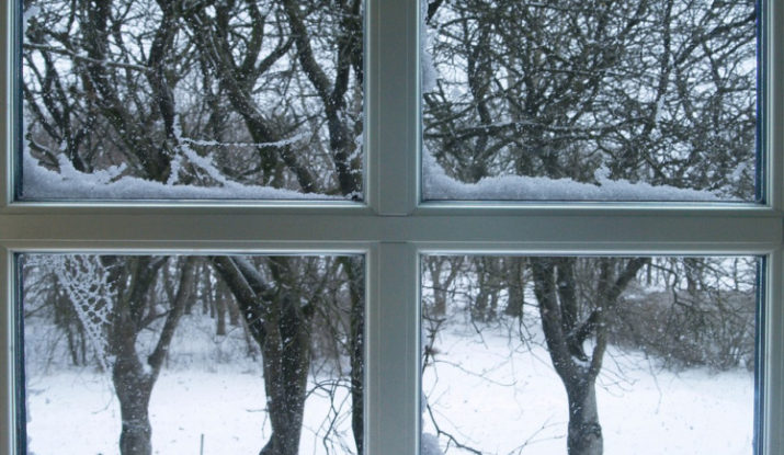 snow flakes stuck on windows