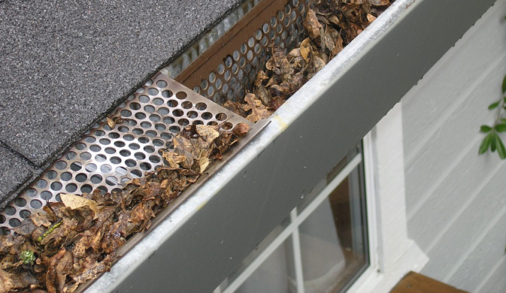 gutter with stuck dried leaves