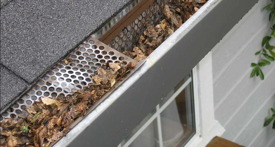 gutter with stuck dried leaves