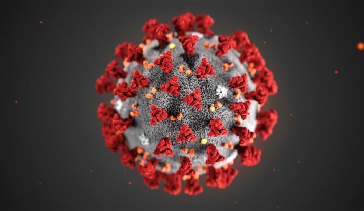 coronavirus image