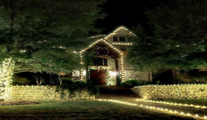 house christmas light decors