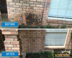 cleaned walls after pressure washing