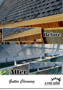 before and after gutter cleaning