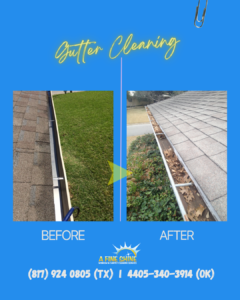Gutter Cleaning
