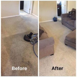 Carpet Cleaning