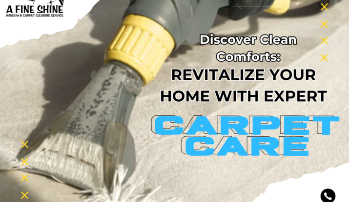 Carpet cleaning service