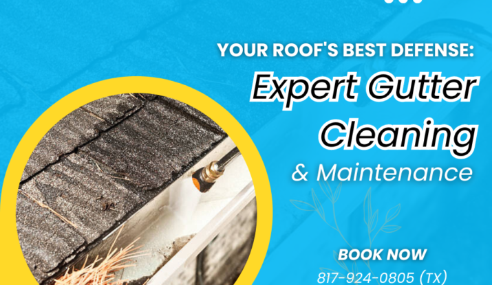 Gutter Cleaning
