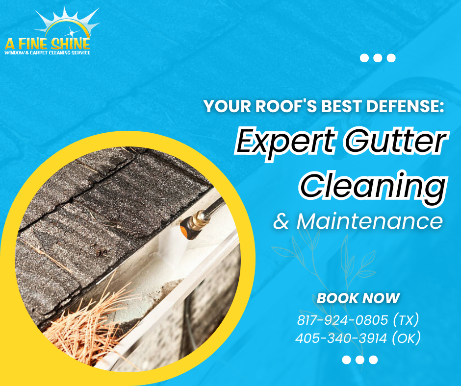 Gutter Cleaning