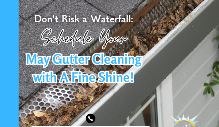 gutter cleaning service