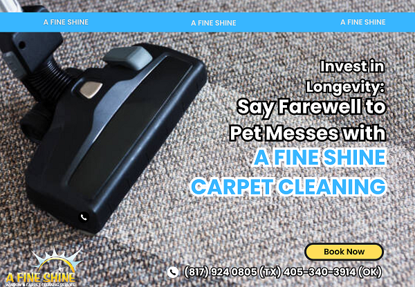 Invest in Longevity: Say Farewell to Pet Messes with A Fine Shine Carpet Cleaning