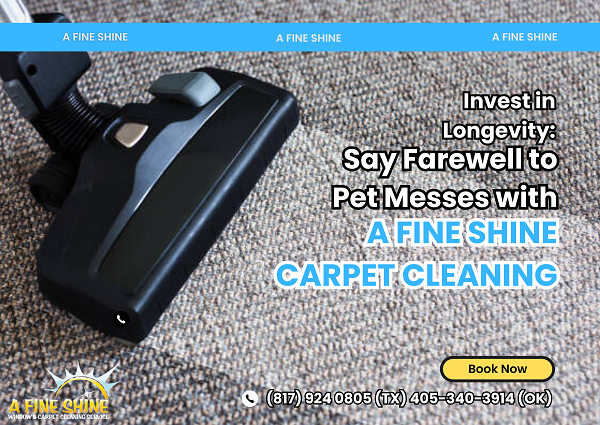 Invest in Longevity: Say Farewell to Pet Messes with A Fine Shine Carpet Cleaning